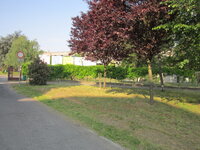 IMG_4006.JPG