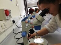 Microscopi criminalistica ISF College Milano.jpg